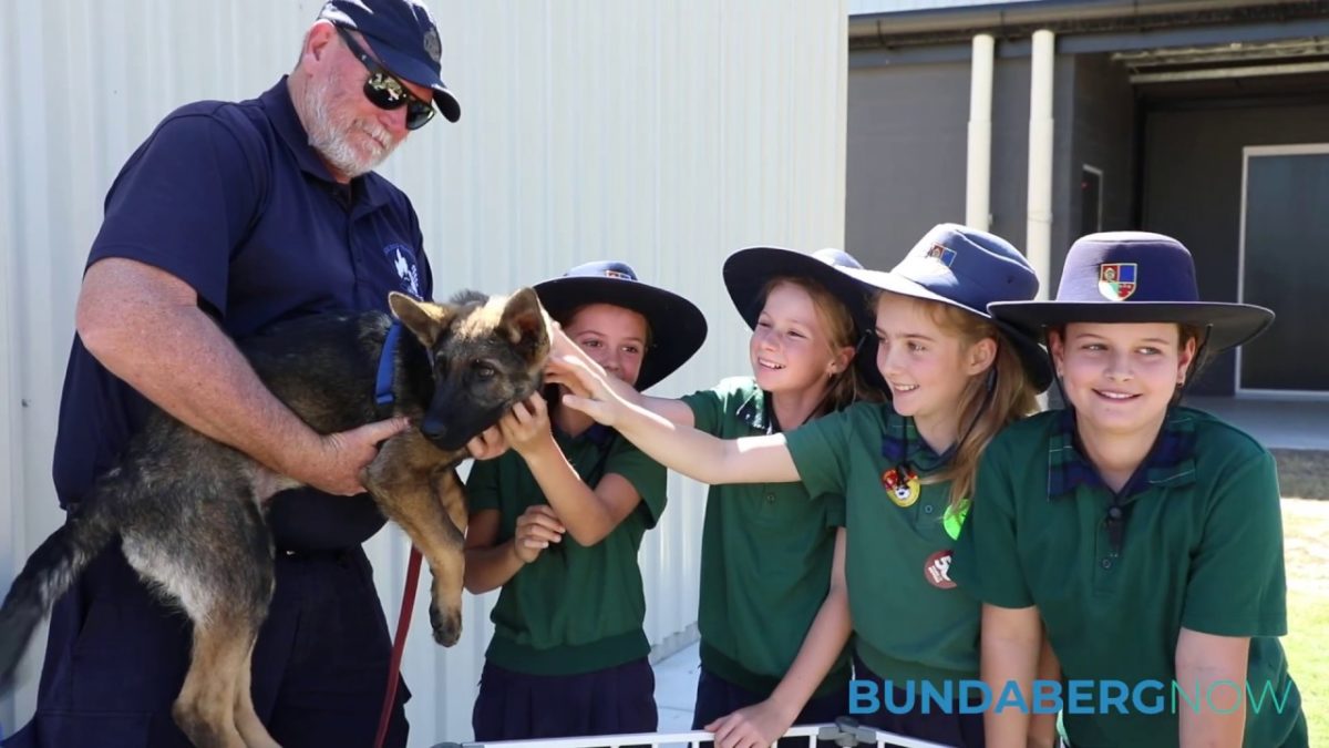 Day for Daniel teaches children self protection Bundaberg Now