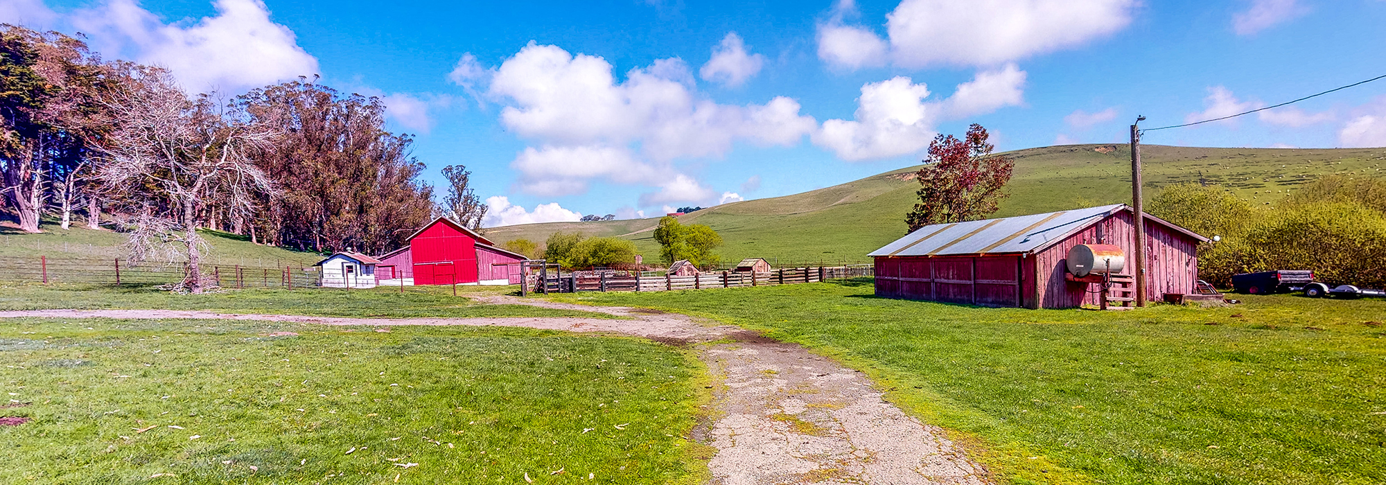 Home Century 21 Bundesen