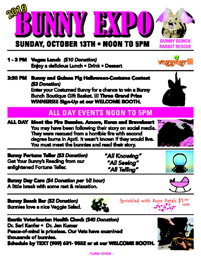 Bunny Expo The Bunny Bunch