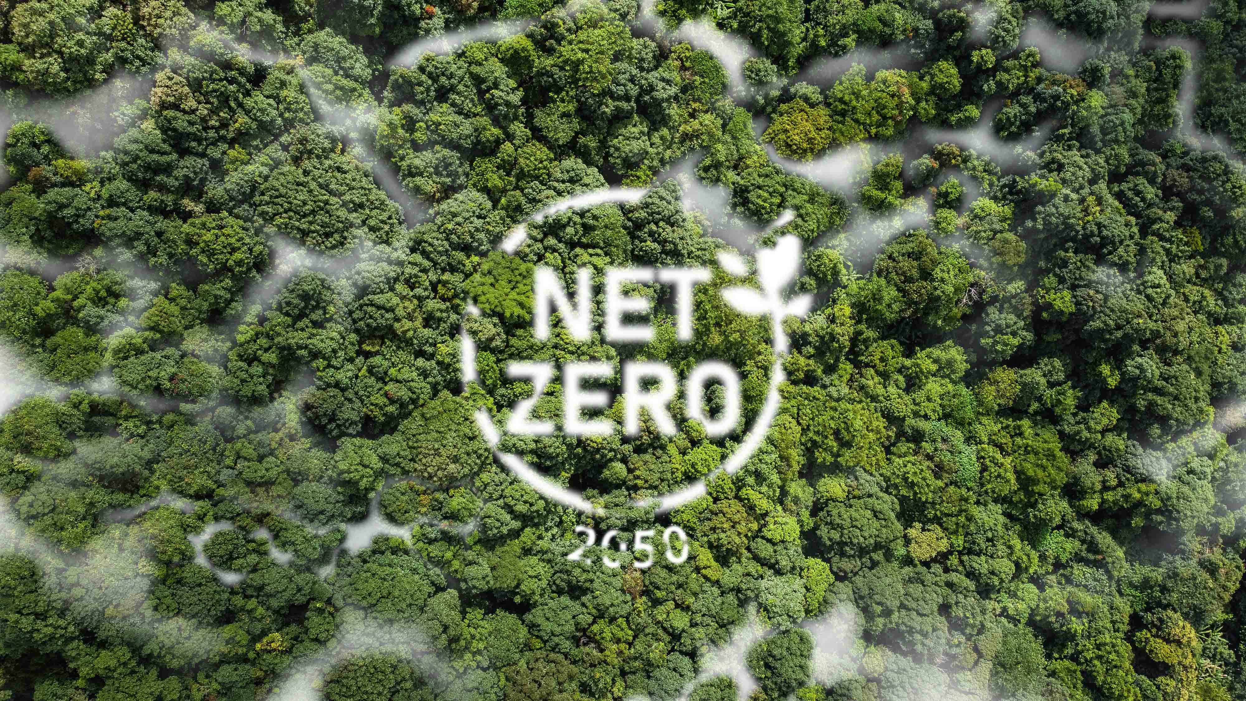 Atteindre vos engagements Net Zéro Bureau Veritas France