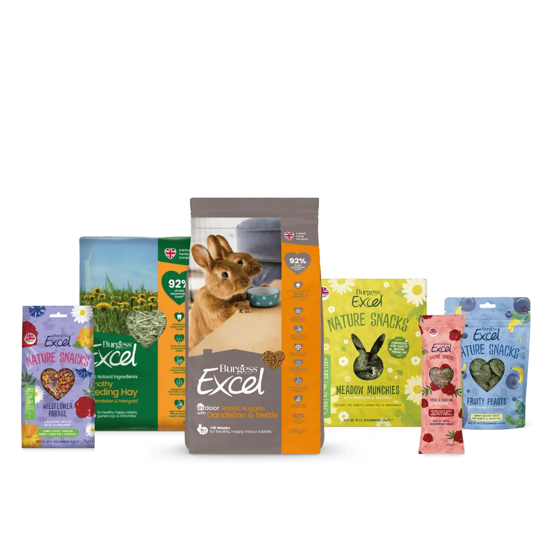 Indoor Rabbit Bundle Burgess Pet Care