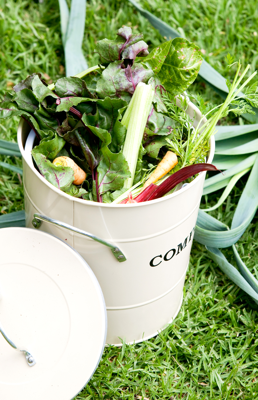 Compost Burke's Backyard