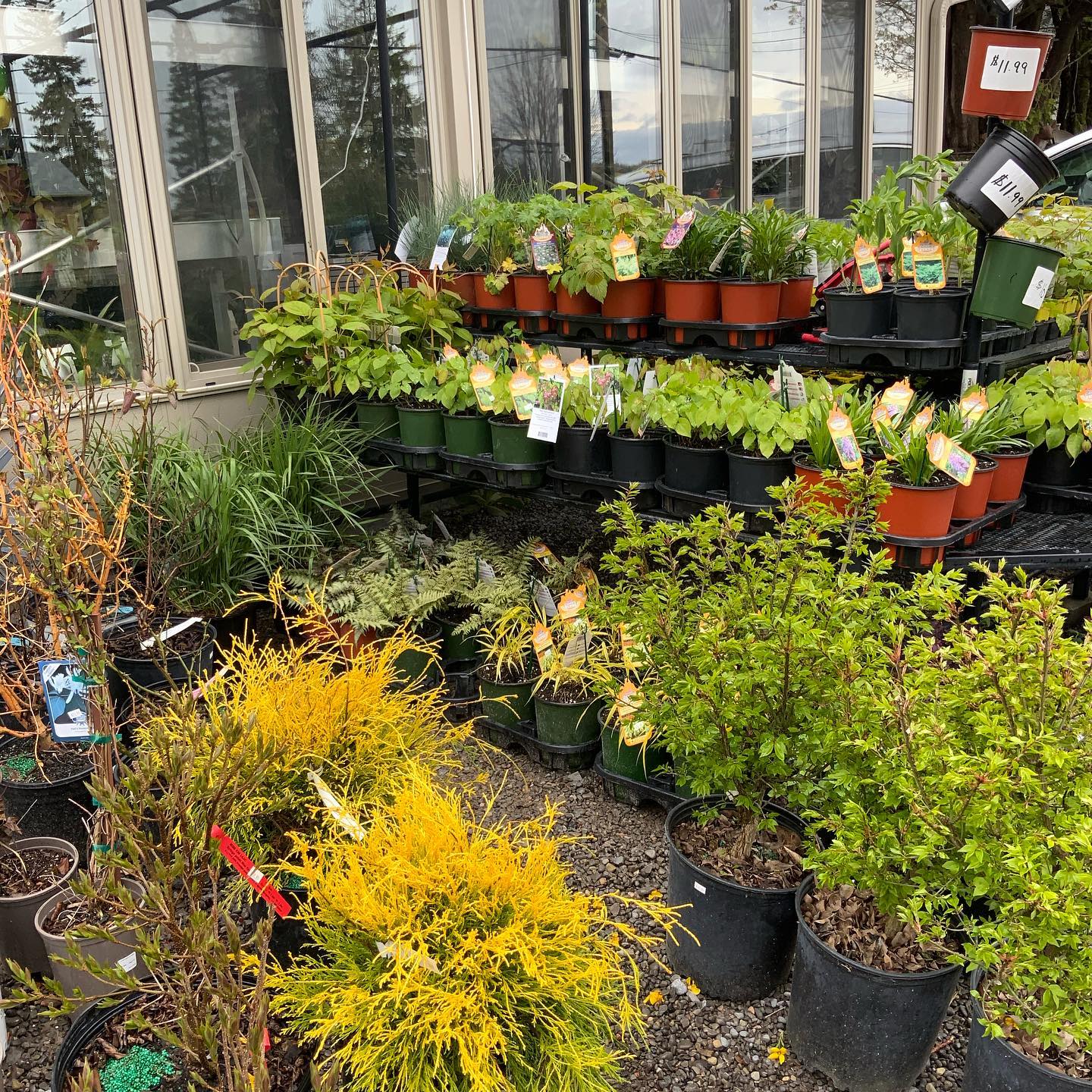 Gardening Burleys Gardens & Suite