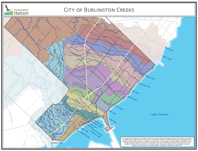 Conservation Halton is going through a Metamorphosis and wants to hear from you if you live