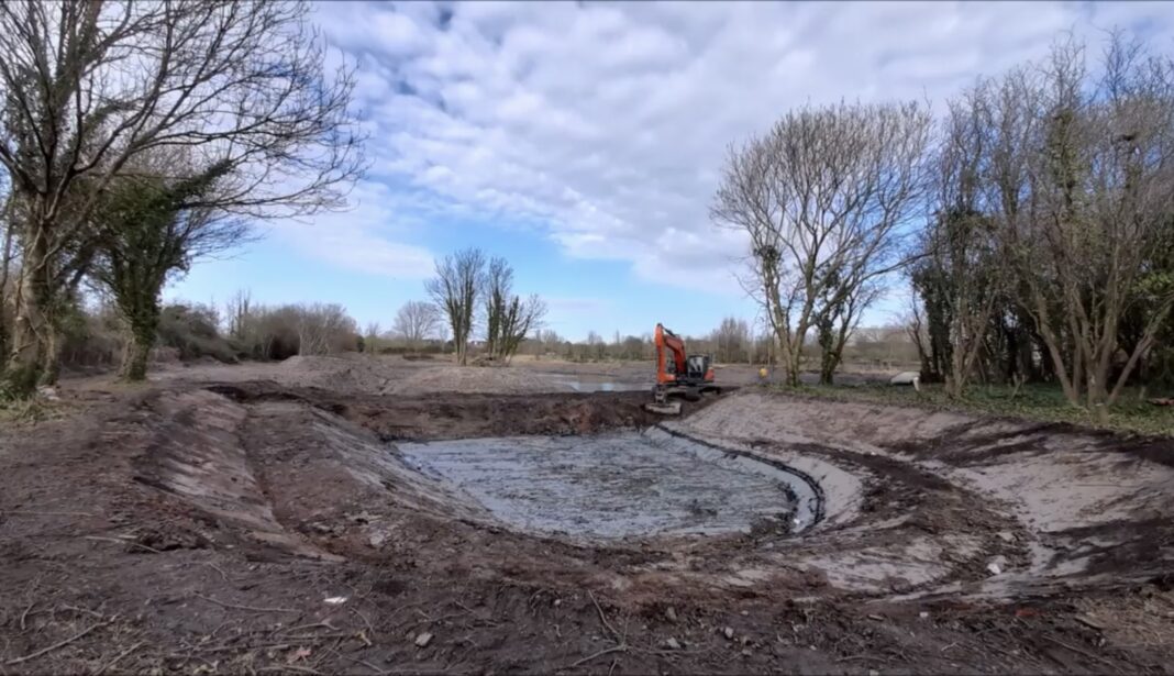 Highbridge project sees new trees and shrubs planted to boost wildlife