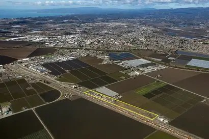 Realtor Consultant David Lyng Real Estate