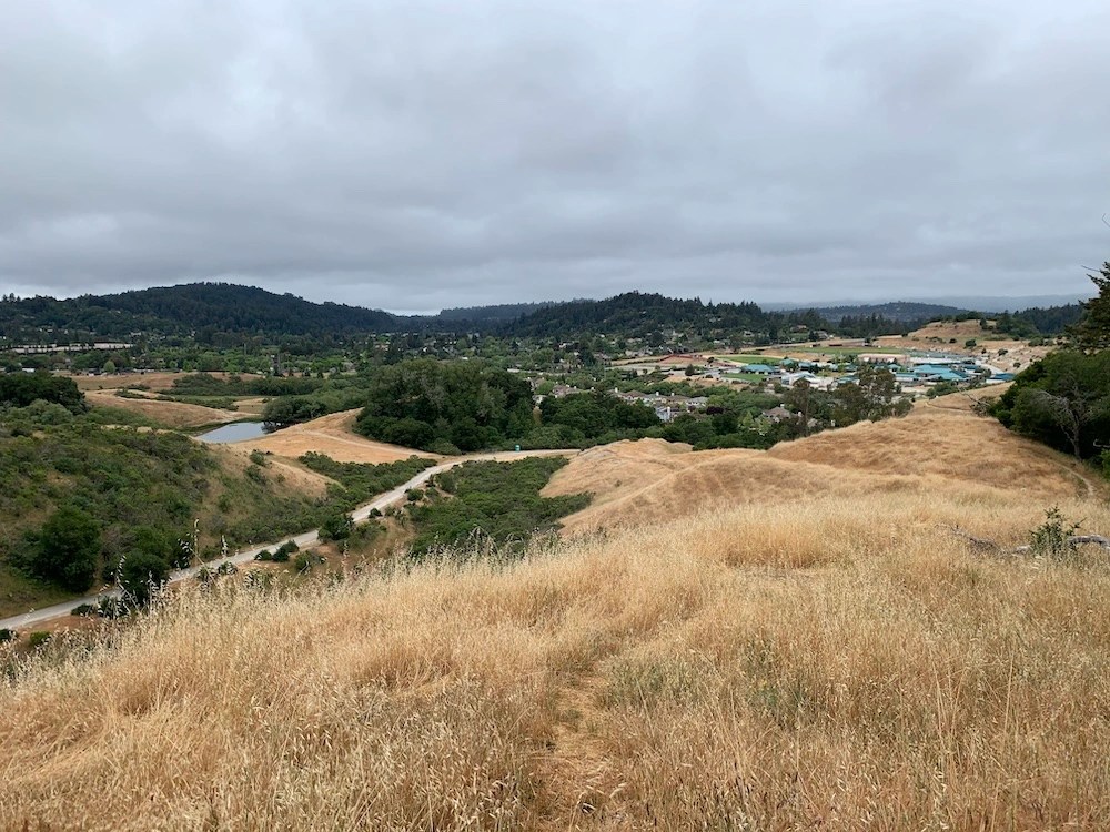 Scotts Valley CA Homes for Sale Paul Burrowes Real Estate