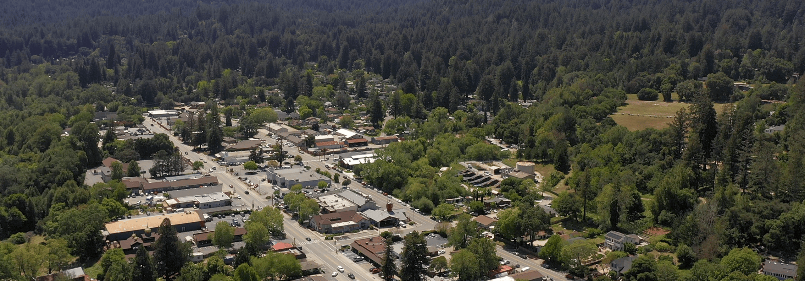 San Lorenzo Valley CA Homes for Sale Paul Burrowes Real Estate