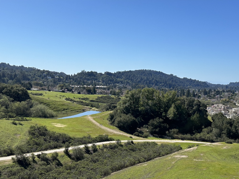 The Vineyards Homes for Sale Paul Burrowes Real Estate