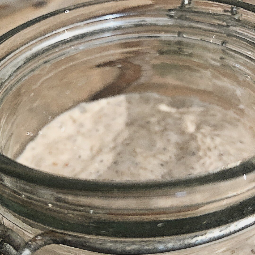 Have I Got A Bad Sourdough Starter? Busby's