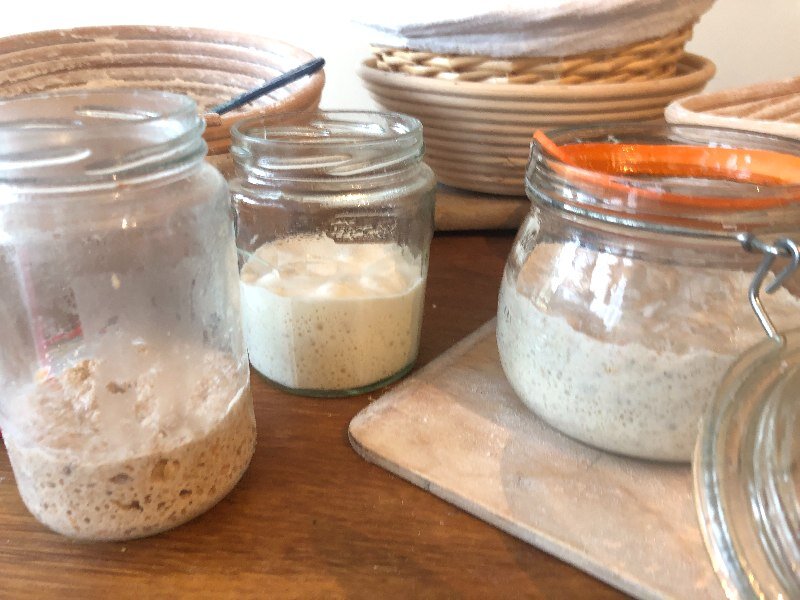 Is My Sourdough Starter The Right Consistency Busby's