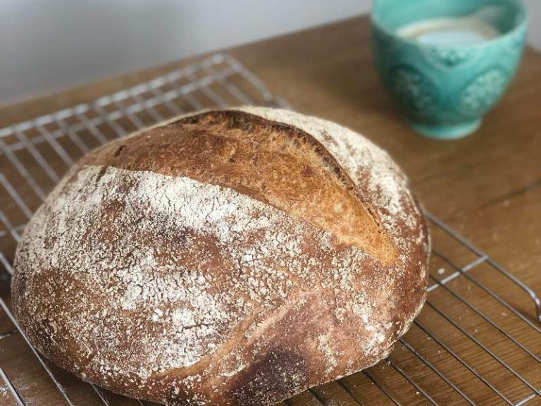 8 Reasons Why Sourdough Bread is Not Rising