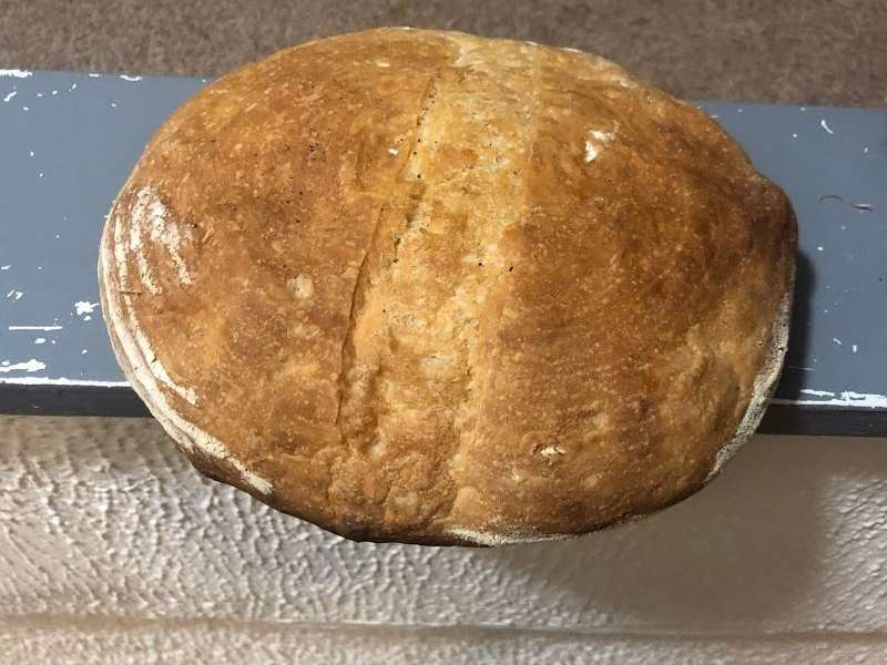 Why Is My Sourdough Bread Gummy? Busby's