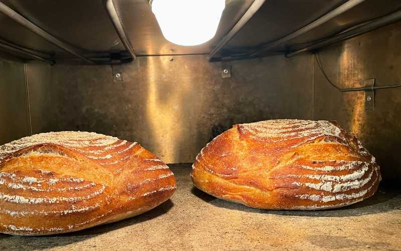 Making Bread In Bulk How To Make Big Batches Of Dough Busby's