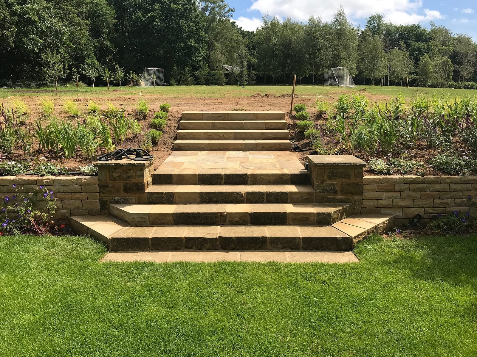 Surrey Hills Garden; Surrey Hills Bushy Business