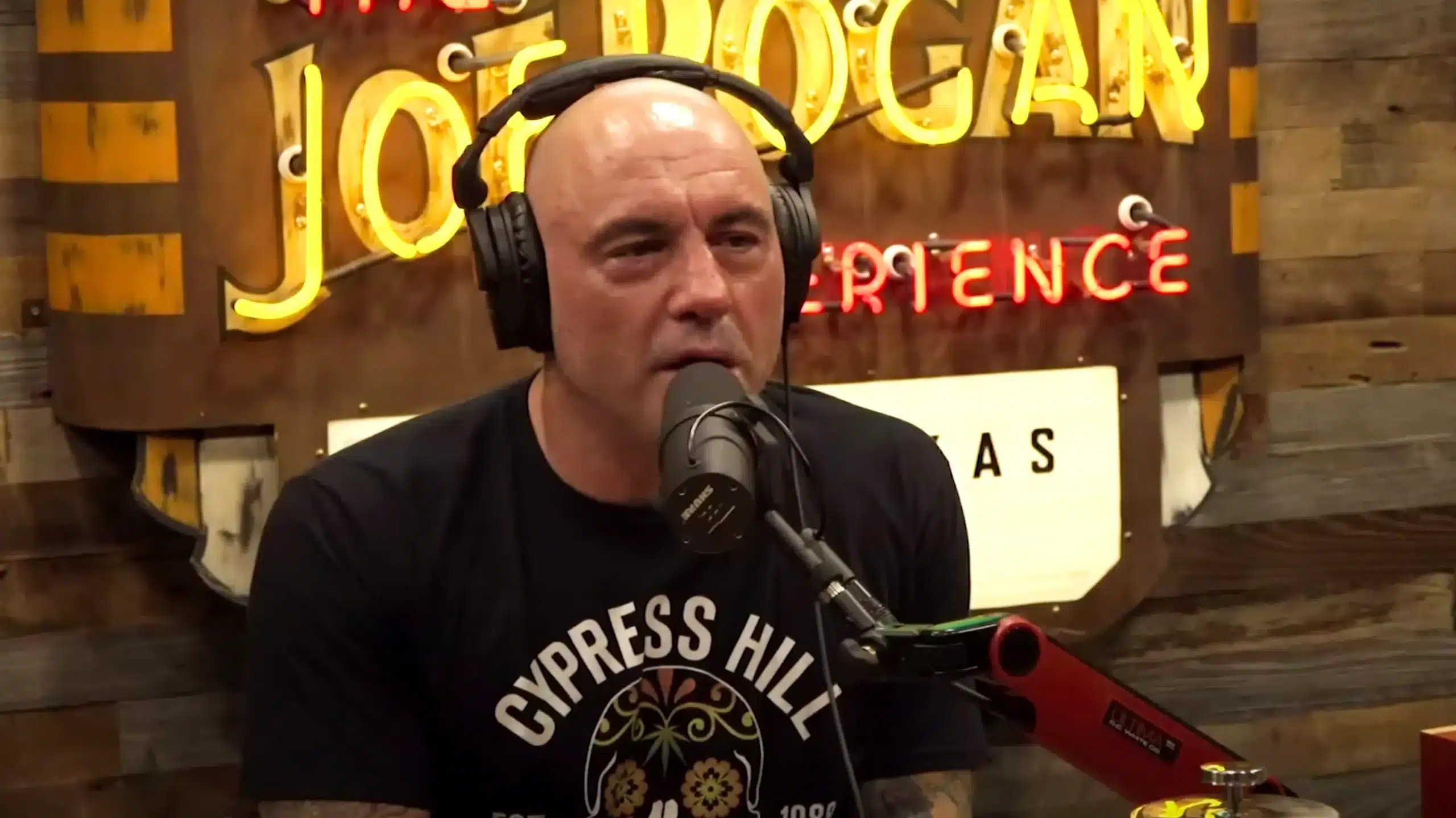 Joe Rogan Net Worth 2024 Chart India Wilma Juliette