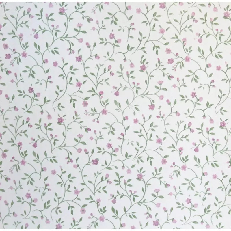 The wallpaper market Italy (10.2023) Businesscoot