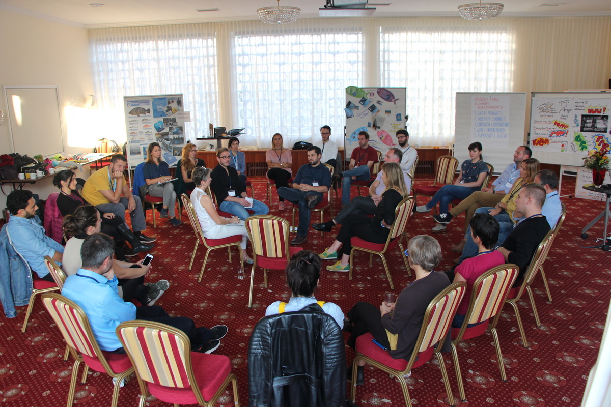 Business facilitation Method "The Fishbowl"