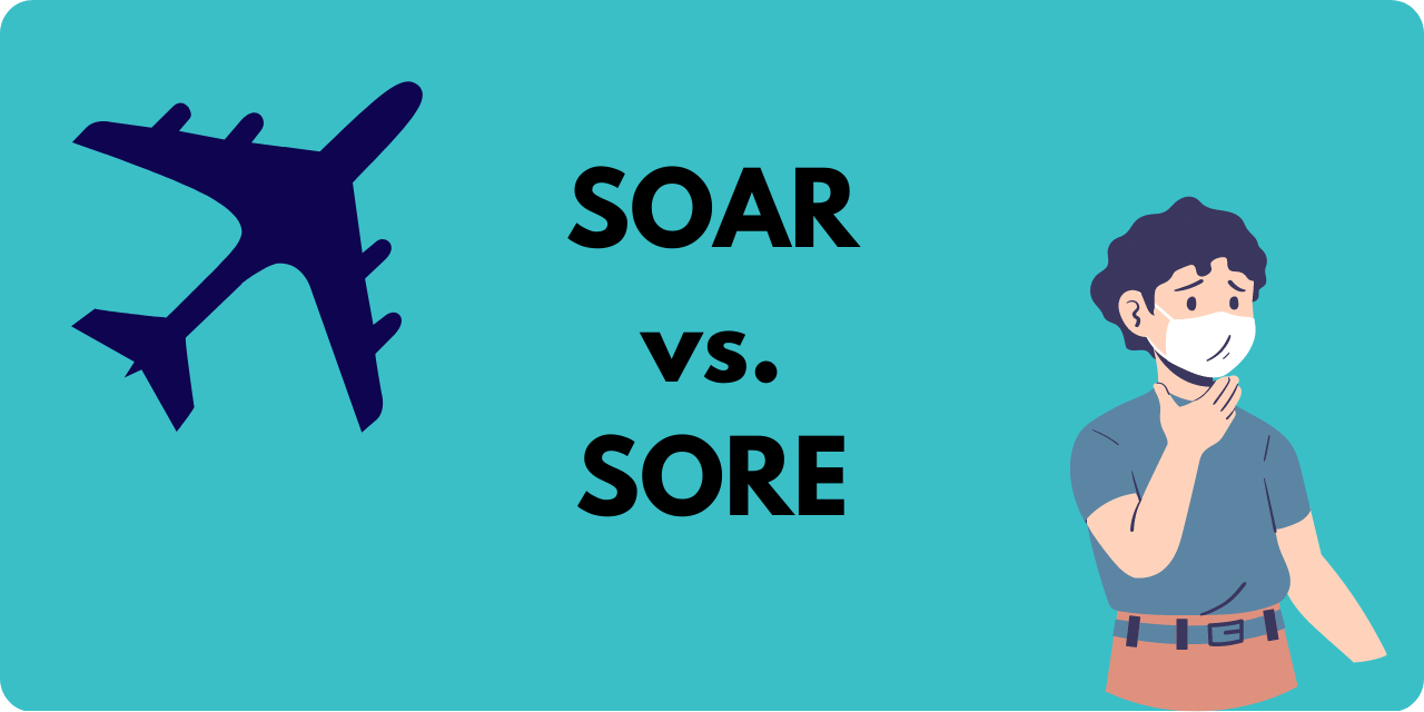 Soar vs Sore What's the Difference BusinessWritingBlog
