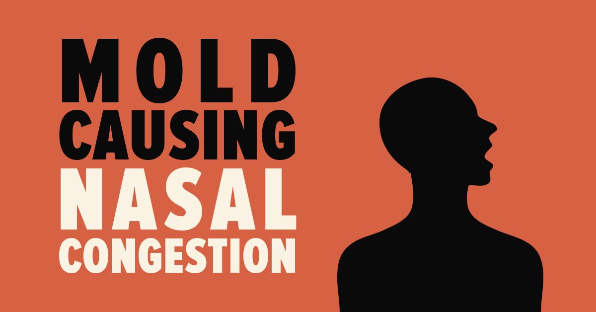 Health Effects of Mold Dangers, Risks and Prevention Tips