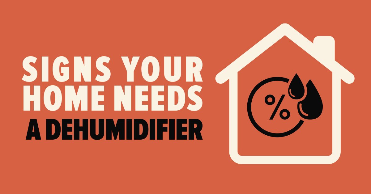 Signs Your Home Needs a Dehumidifier Mold Busters