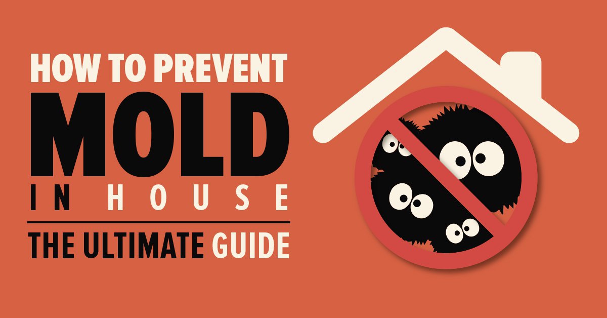 How to Prevent Mold The Ultimate Prevention Tips Guide Mold Busters