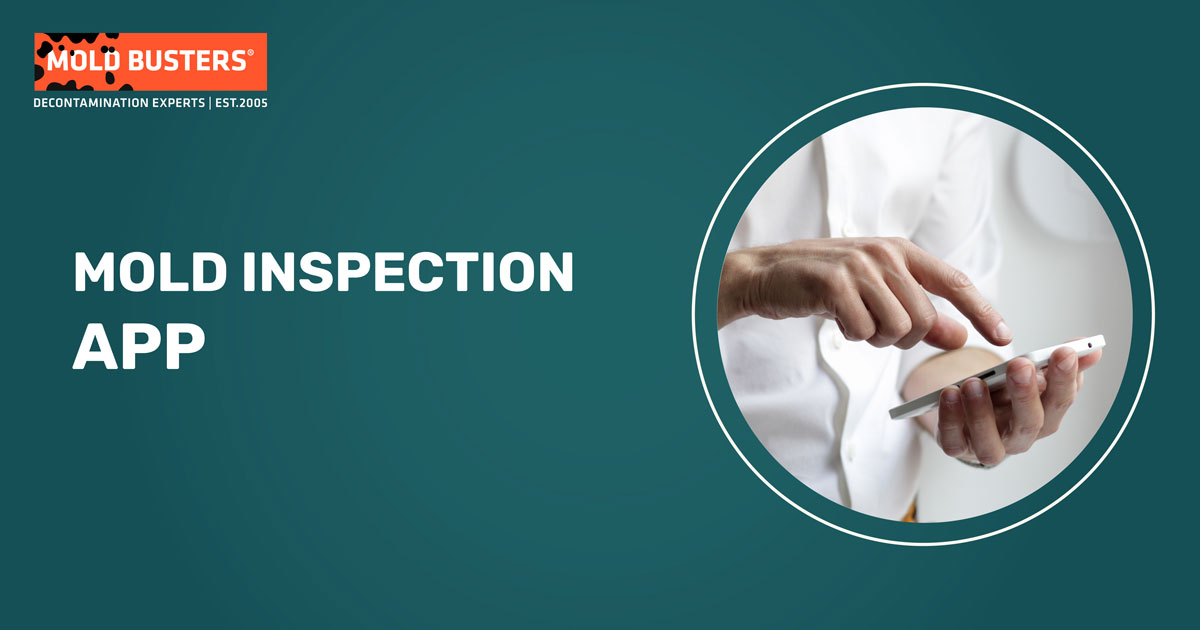 Detect Mold with Inspection App App Downloads Mold Busters