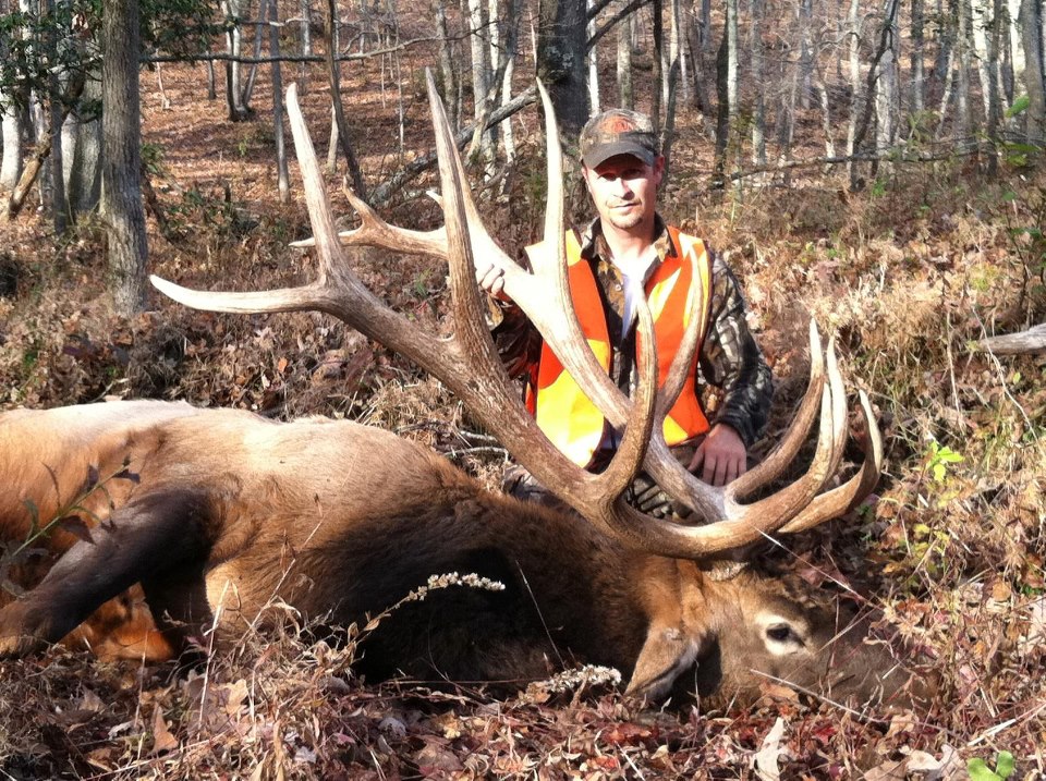 Trophy Hog Hunts Guided Hunting Trips Tennessee TN