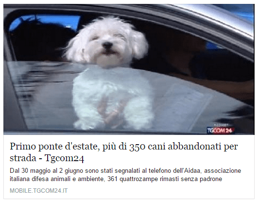 L'AIDAA e i cani abbandonati d'estate BUTAC Bufale un tanto al chilo