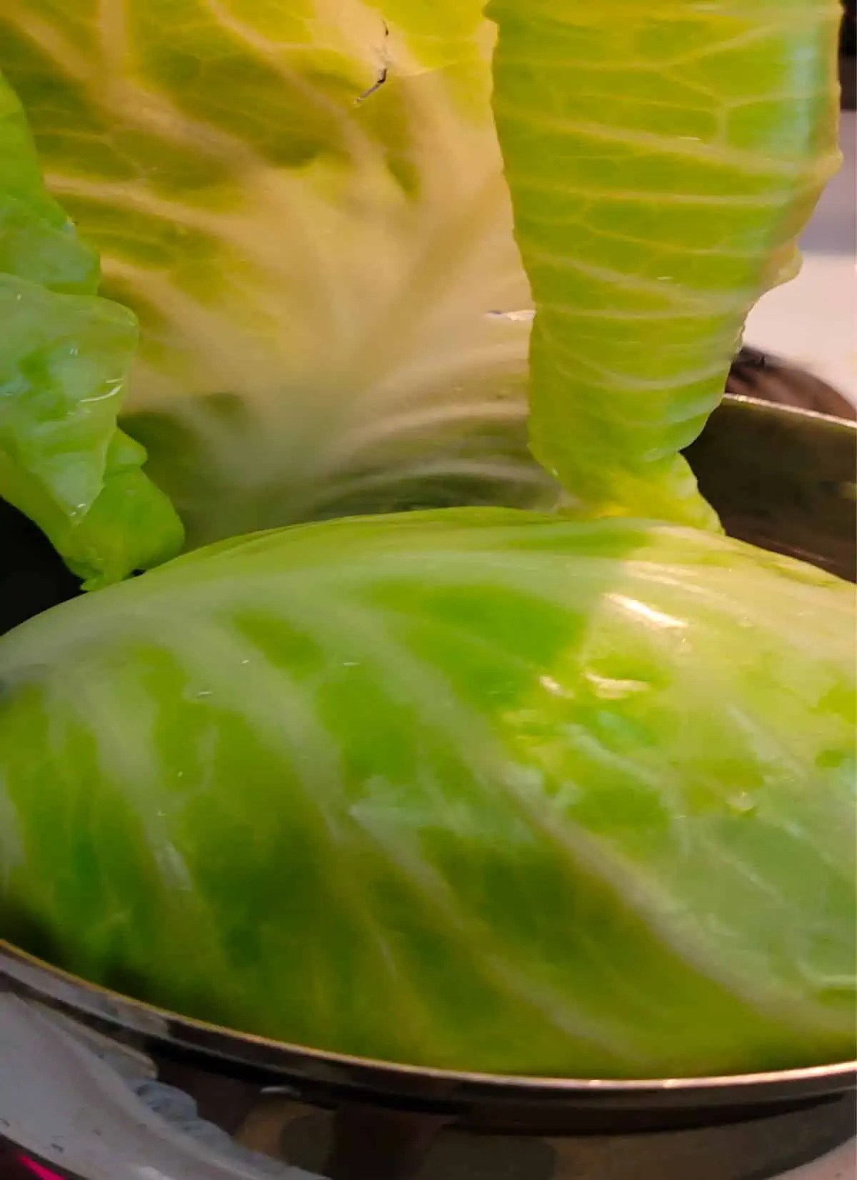 Stuffed Cabbage Rolls with Tomato Juice Grandma's Way Butter N Thyme