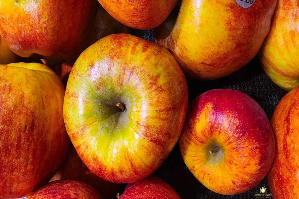 80 Types of Apples AtoZ Photos Butter N Thyme