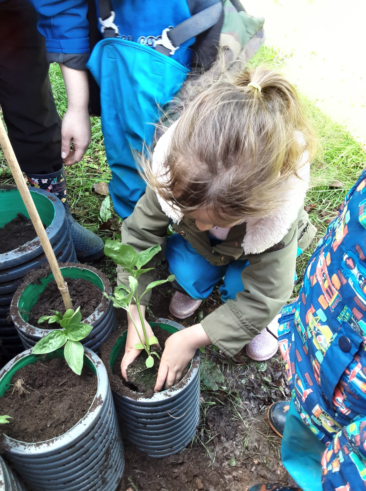 Bumper crop of fruit and vegetables Butterflies Day Nurseries