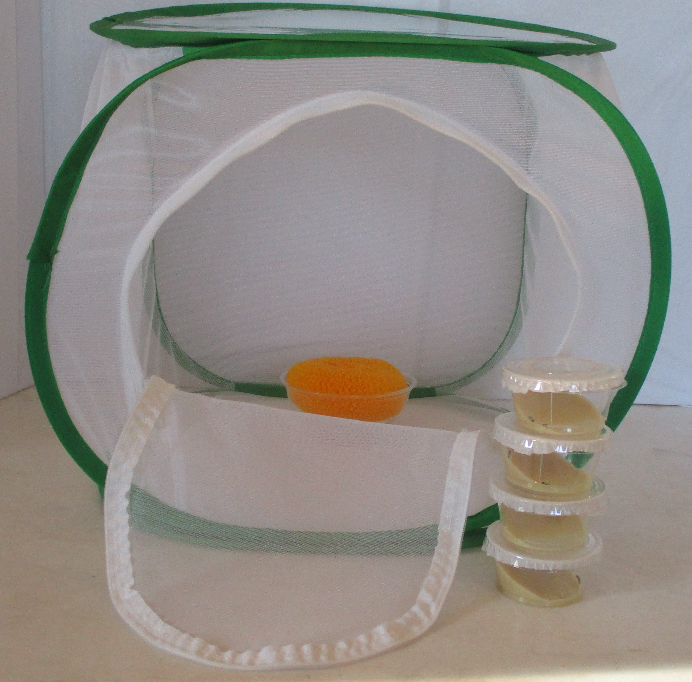 Butterfly Nursery Small Kit 8 Larvae in 4 Cups 28.99 Butterfly Nursery