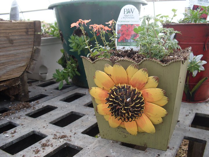 Buxton's Garden Farm & Flower Shop