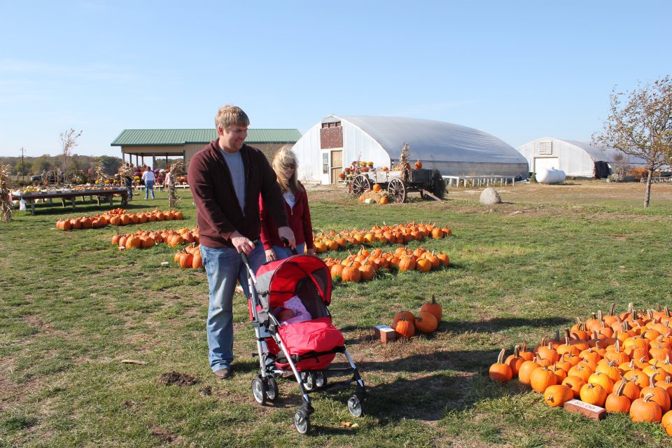 Buxton's Garden Farm & Flower Shop