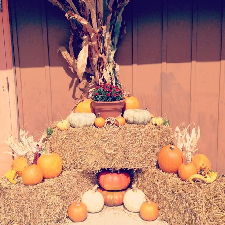 Buxton's Garden Farm & Flower Shop