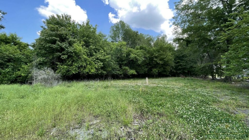 FOR SALE 9+ Acres Williamson County IL Wooded Home Building Site