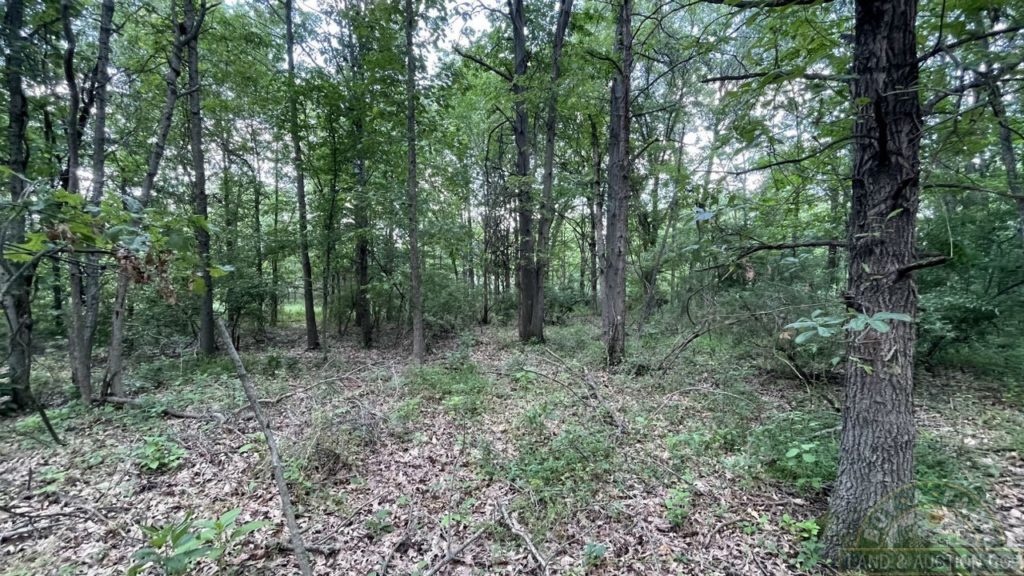 FOR SALE 9+ Acres Williamson County IL Wooded Home Building Site