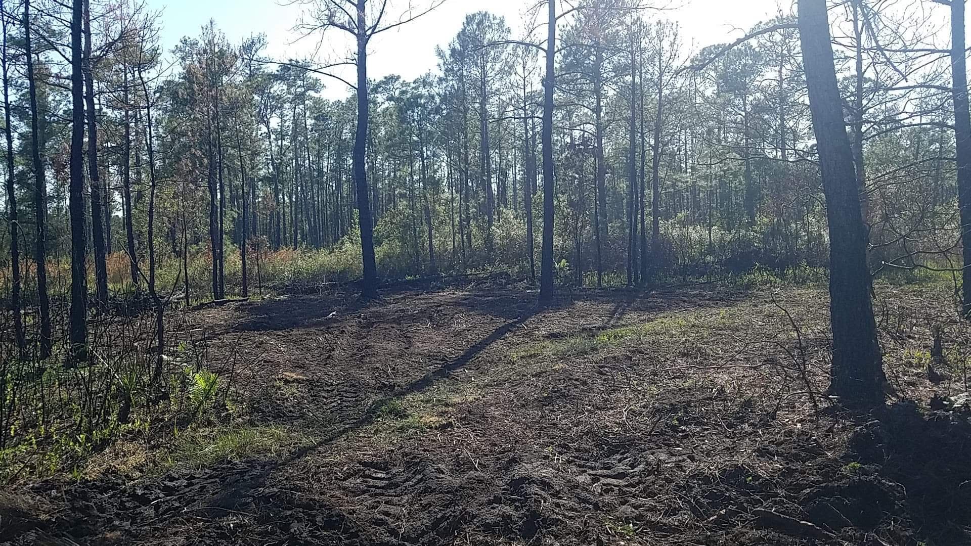 .64 Acre 4WD Camp Lot! Buy River Ranch Lots