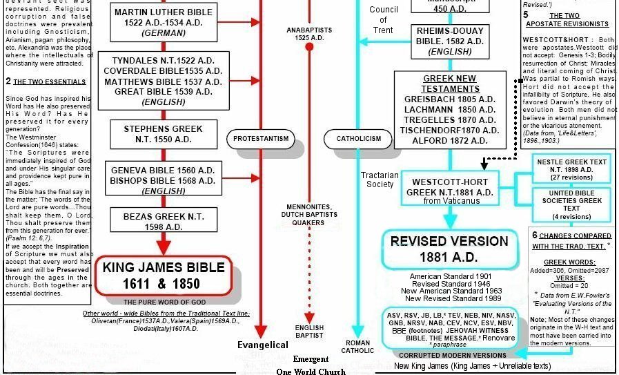 Anyone knows the name of the book? A different version of you.