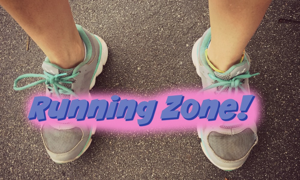 Running in the Zone My Running Diary (Running Zone) BuzzChomp