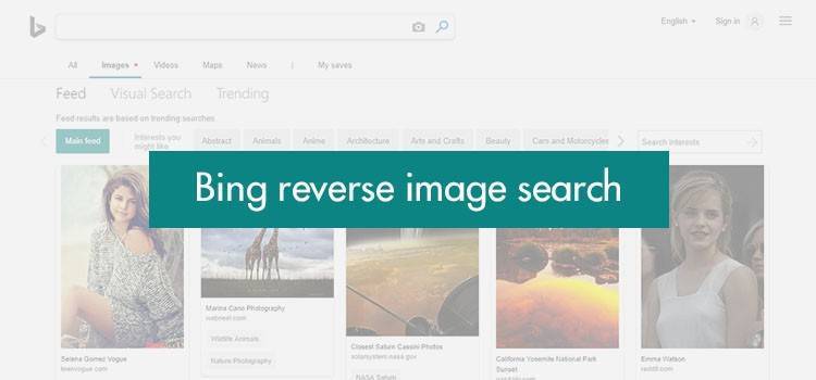 Reverse face Search Processes Of Searching Related Images for Free