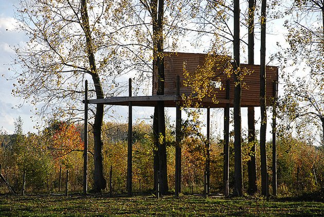 La cabane dans les arbres pour jouer à chat perché