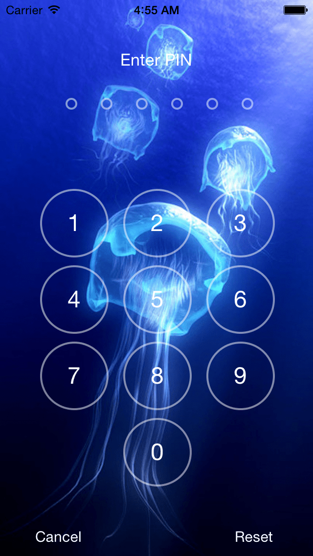Pin Pad Lock Screen Buzztouch Plugin