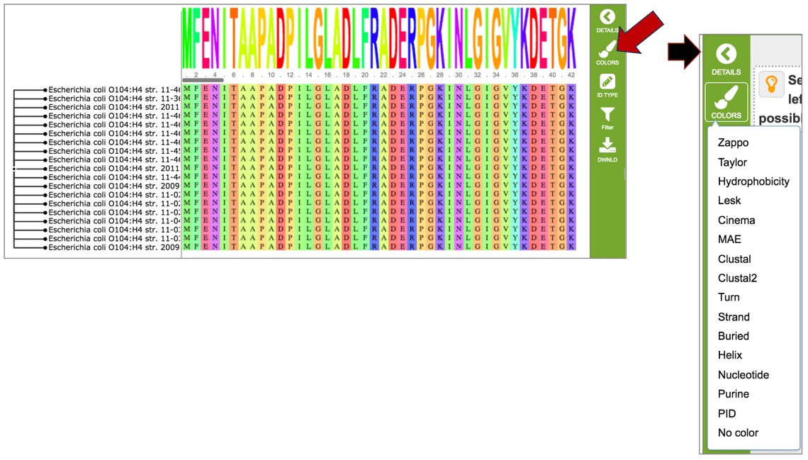 TnSeq Analysis Service BVBRC