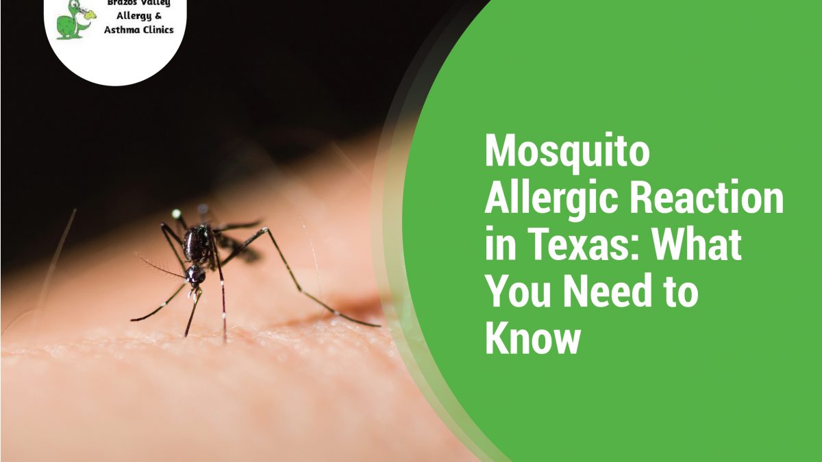 Mosquito Allergic Reaction in Texas What You Need to Know