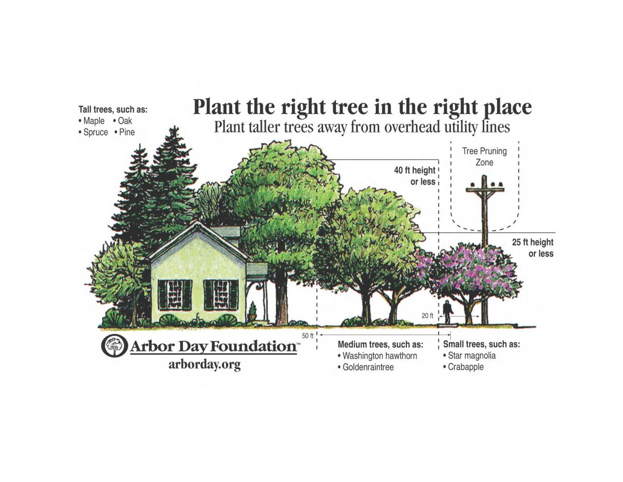 Tree Trimming Program Bear Valley Electric Service, Inc.