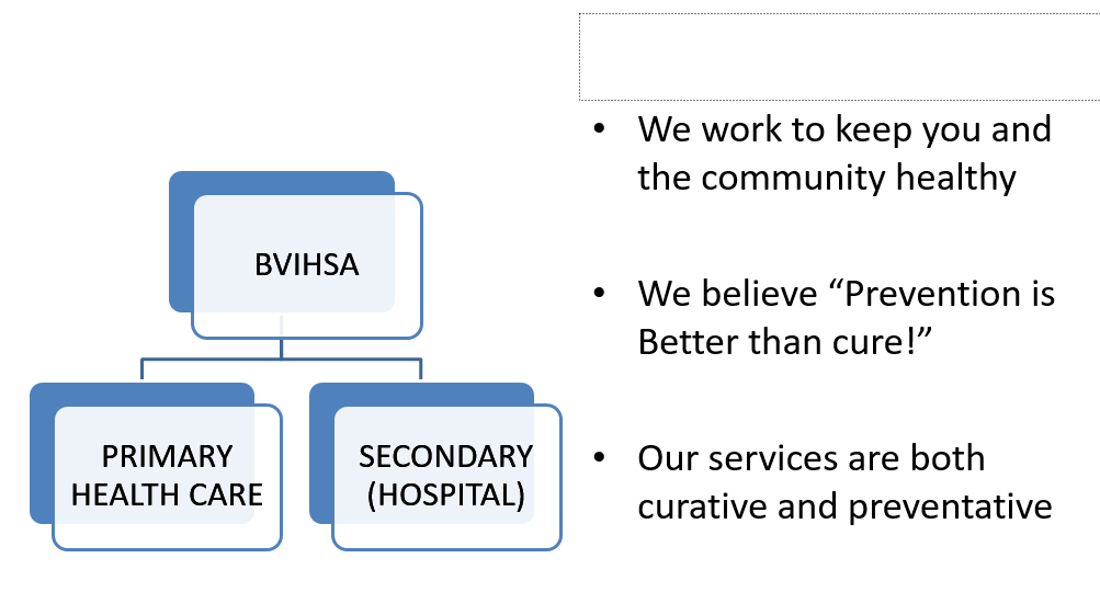 Primary Services BVIHSA