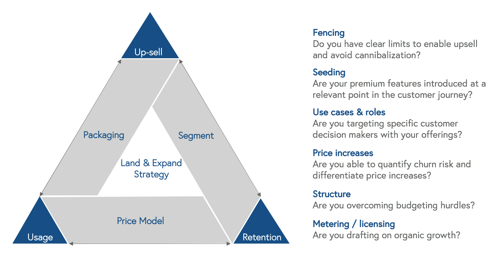 How one B2B SaaS company revamped pricing for an ultrasuccessful land