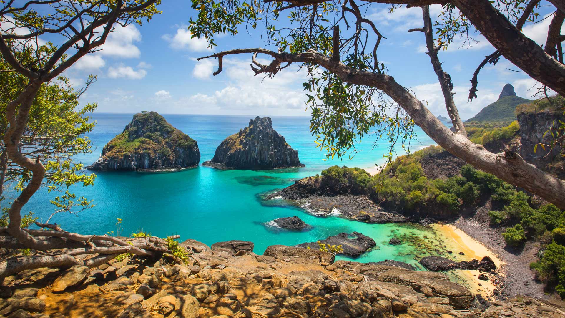 Noronha Two Brothers Bing Wallpaper Download